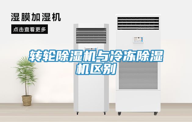 转轮小黄片直播视频与冷冻小黄片直播视频区别