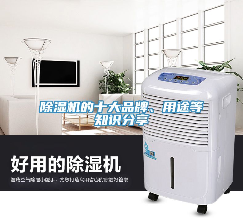 小黄片直播视频的十大品牌、用途等知识分享