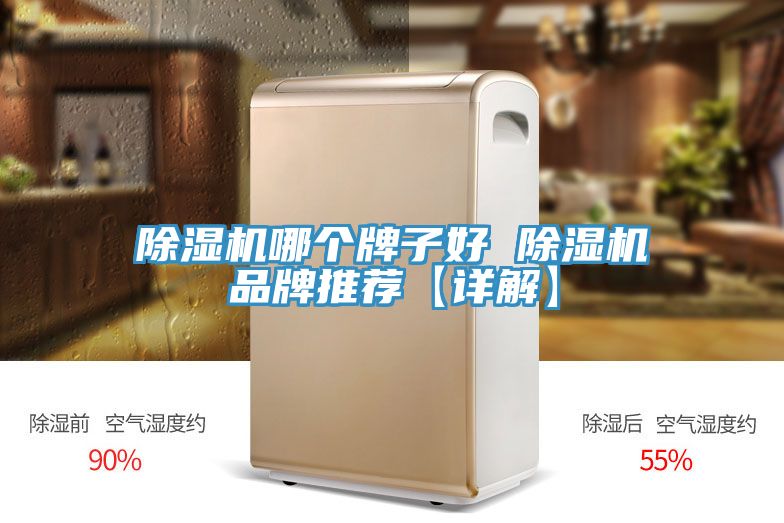 小黄片直播视频哪个牌子好 小黄片直播视频品牌推荐【详解】
