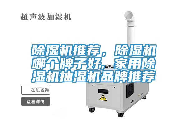 小黄片直播视频推荐，小黄片直播视频哪个牌子好, 家用小黄片直播视频抽湿机品牌推荐