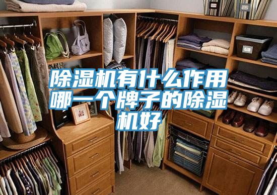 小黄片直播视频有什么作用哪一个牌子的小黄片直播视频好