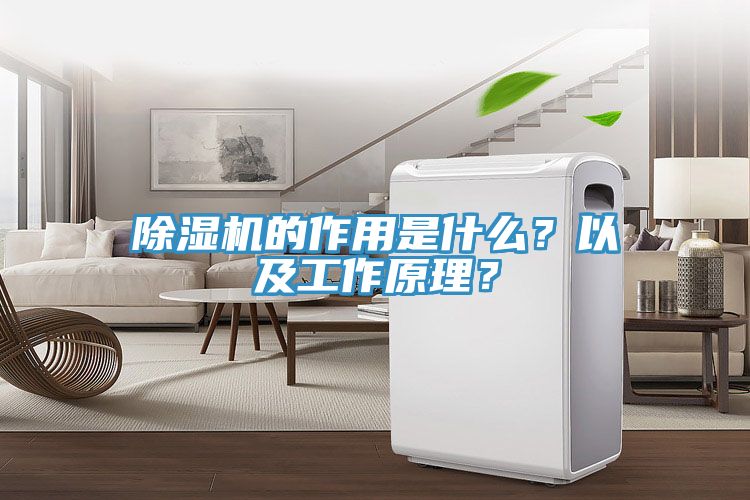 小黄片直播视频的作用是什么？以及工作原理？