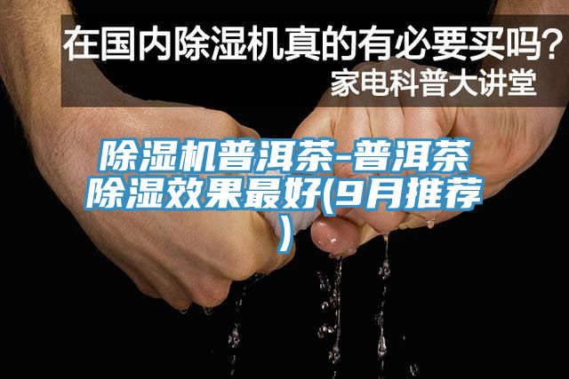 小黄片直播视频普洱茶-普洱茶除湿效果最好(9月推荐)