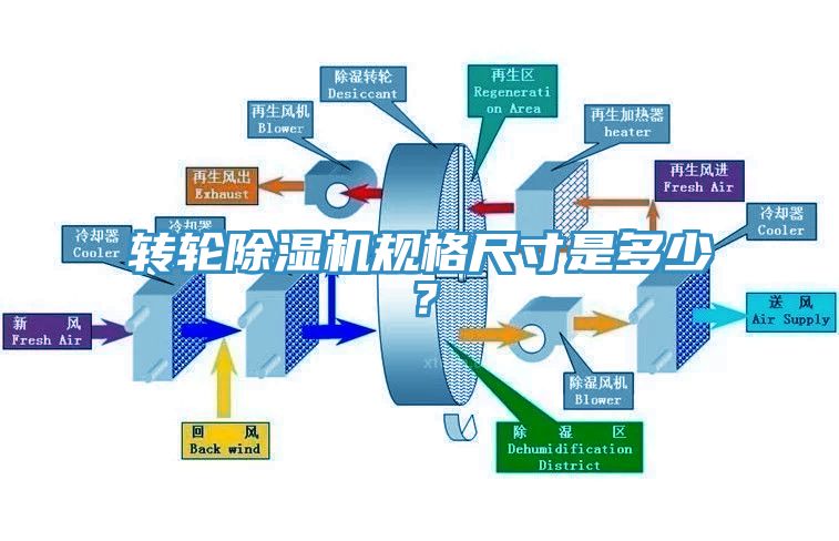 转轮小黄片直播视频规格尺寸是多少？