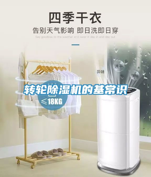 转轮小黄片直播视频的基常识