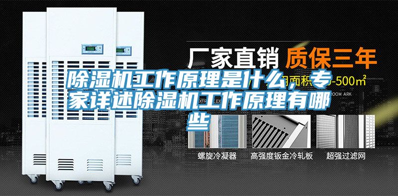 小黄片直播视频工作原理是什么，专家详述小黄片直播视频工作原理有哪些