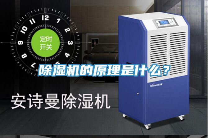 小黄片直播视频的原理是什么？