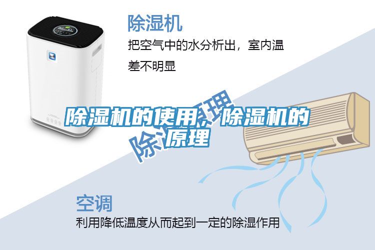 小黄片直播视频的使用，小黄片直播视频的原理