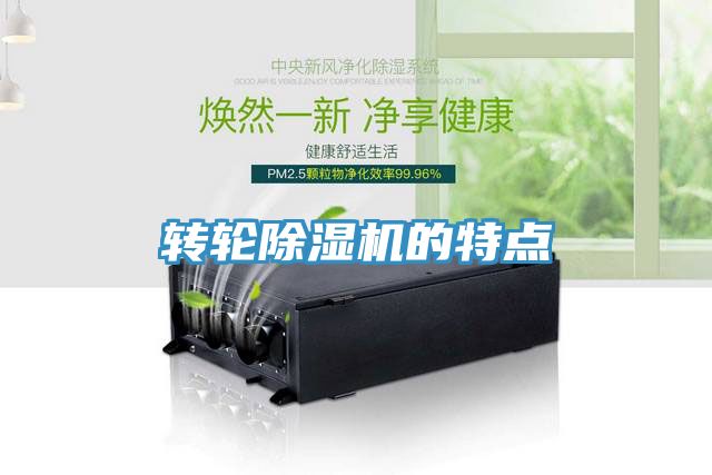 转轮小黄片直播视频的特点