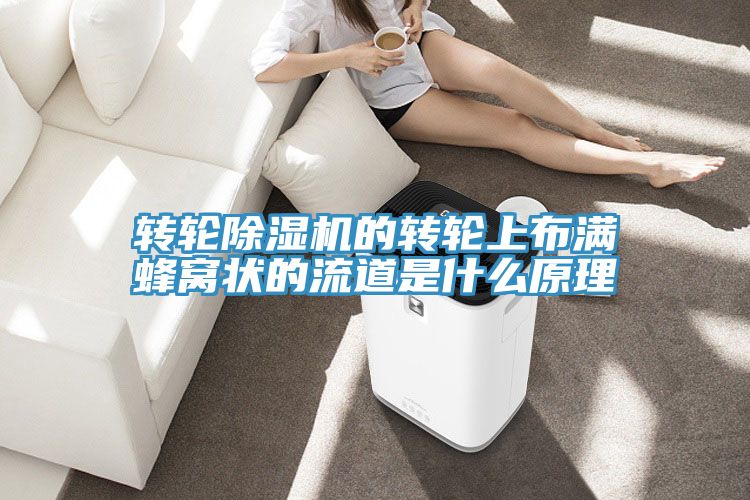 转轮小黄片直播视频的转轮上布满蜂窝状的流道是什么原理