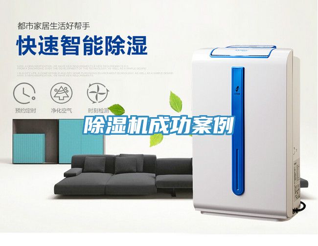 小黄片直播视频成功案例