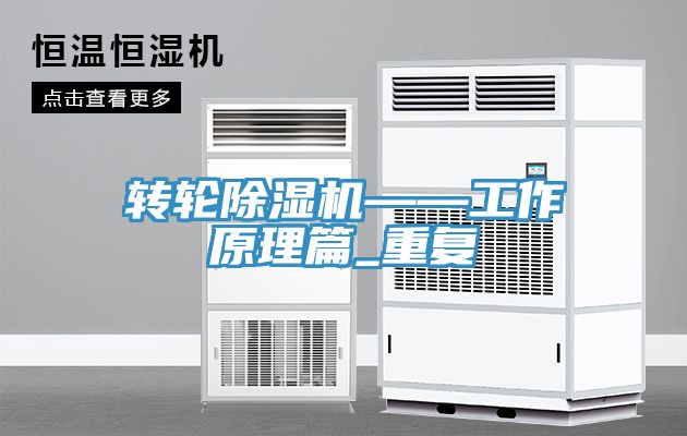 转轮小黄片直播视频——工作原理篇_重复