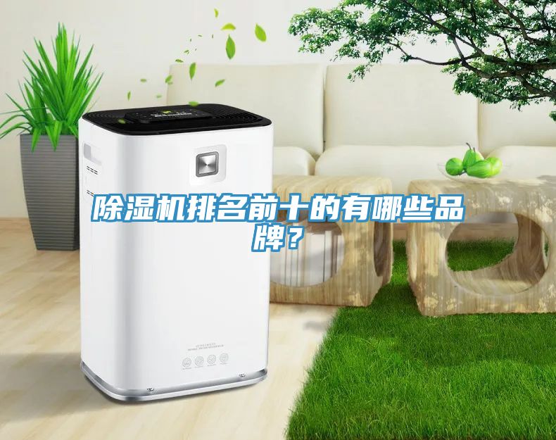 小黄片直播视频排名前十的有哪些品牌？