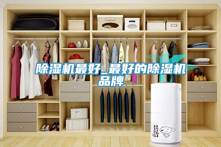 小黄片直播视频最好_最好的小黄片直播视频品牌
