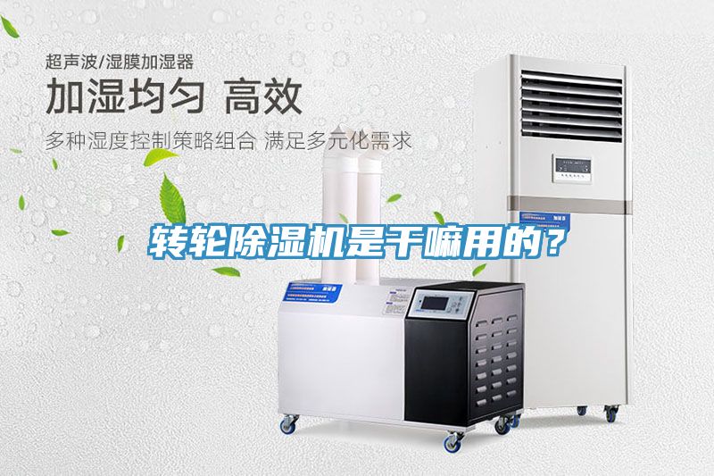 转轮小黄片直播视频是干嘛用的？