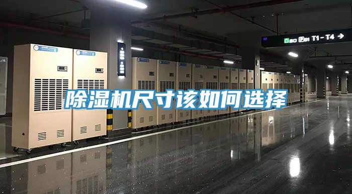 小黄片直播视频尺寸该如何选择