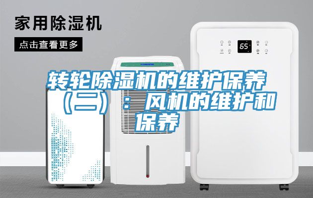 转轮小黄片直播视频的维护保养（二）：风机的维护和保养