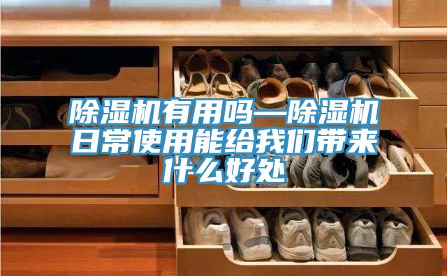 小黄片直播视频有用吗—小黄片直播视频日常使用能给午夜小黄片APP带来什么好处