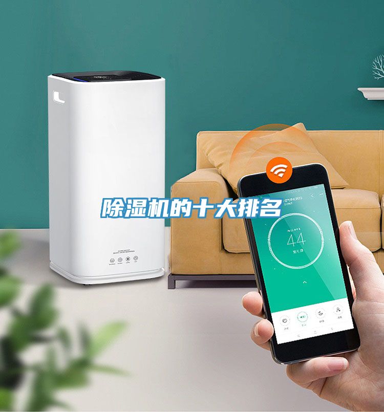 小黄片直播视频的十大排名