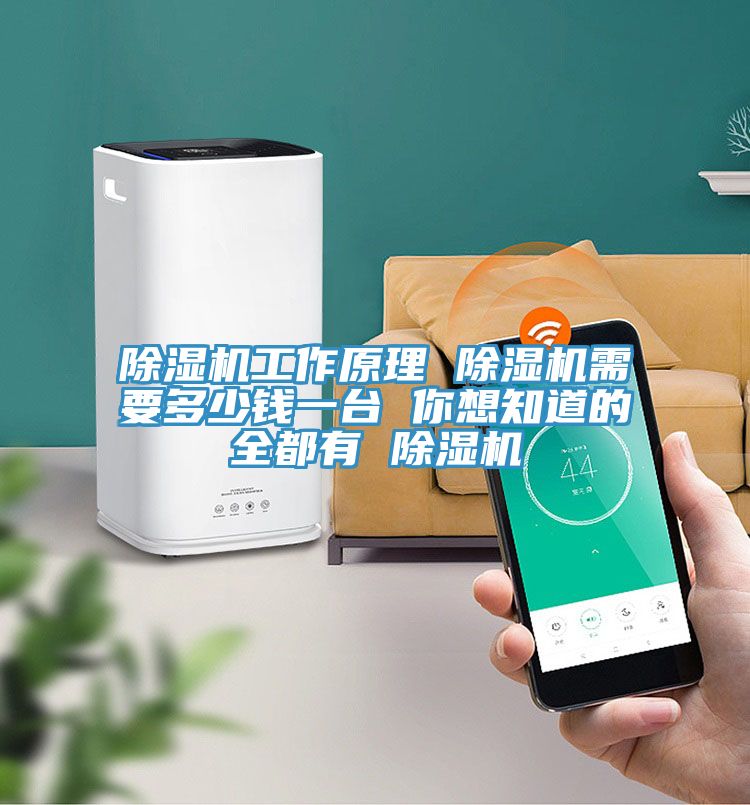 小黄片直播视频工作原理 小黄片直播视频需要多少钱一台 你想知道的全都有 小黄片直播视频