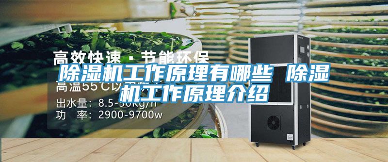 小黄片直播视频工作原理有哪些 小黄片直播视频工作原理介绍