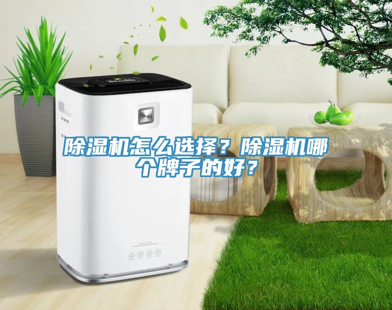 小黄片直播视频怎么选择？小黄片直播视频哪个牌子的好？