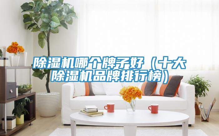 小黄片直播视频哪个牌子好（十大小黄片直播视频品牌排行榜）