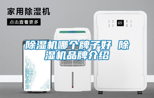 小黄片直播视频哪个牌子好 小黄片直播视频品牌介绍