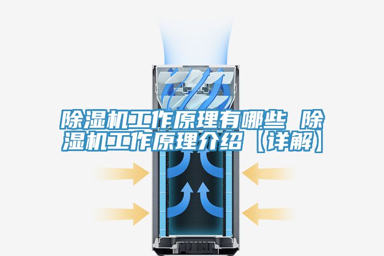 小黄片直播视频工作原理有哪些 小黄片直播视频工作原理介绍【详解】