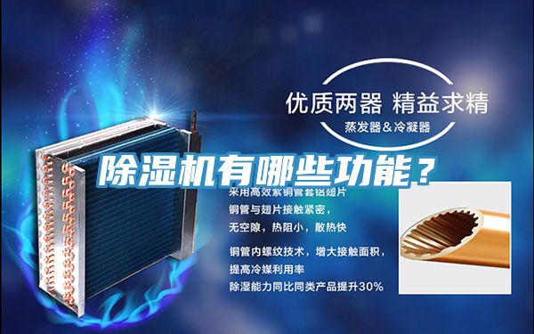 小黄片直播视频有哪些功能？
