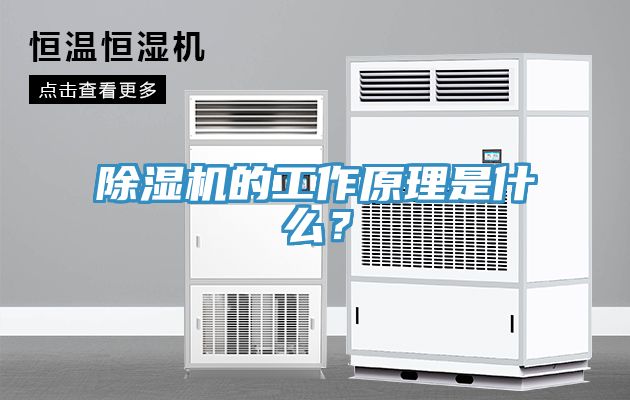 小黄片直播视频的工作原理是什么？