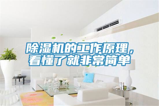 小黄片直播视频的工作原理，看懂了就非常简单