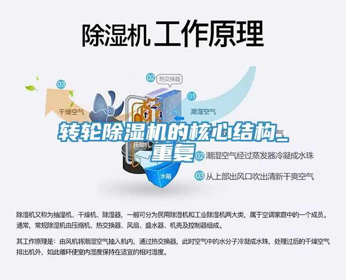 转轮小黄片直播视频的核心结构_重复