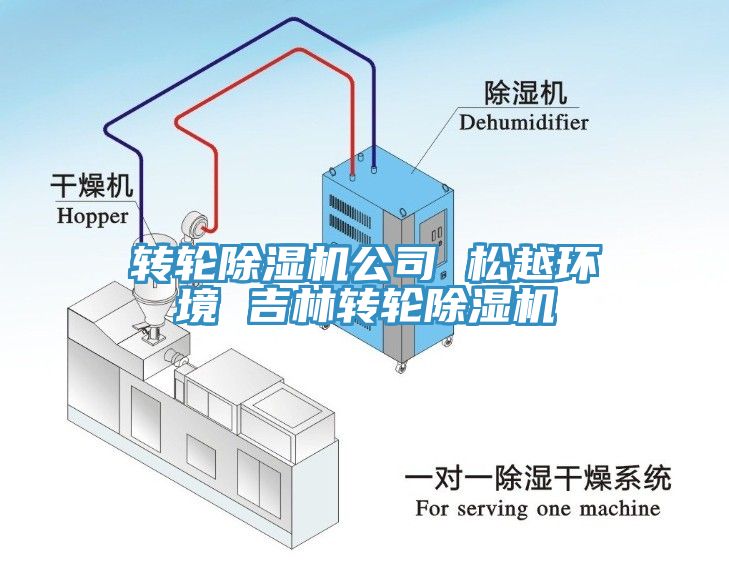 转轮小黄片直播视频公司 松越环境 吉林转轮小黄片直播视频