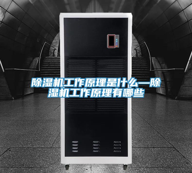 小黄片直播视频工作原理是什么—小黄片直播视频工作原理有哪些