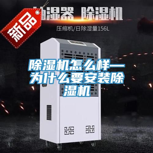 小黄片直播视频怎么样—为什么要安装小黄片直播视频
