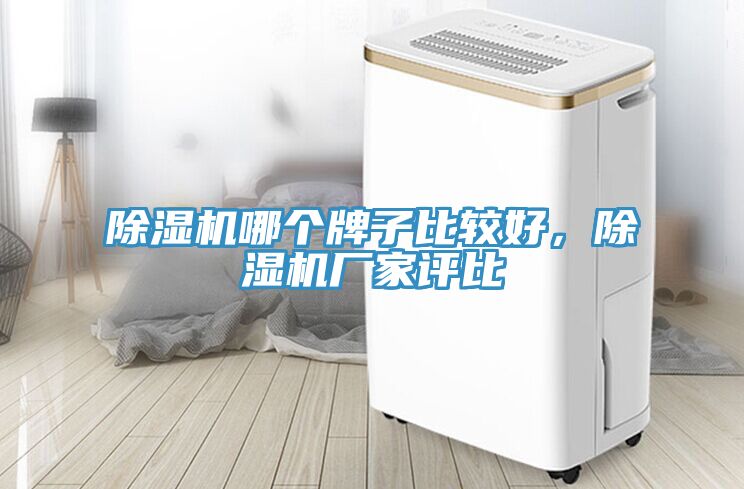 小黄片直播视频哪个牌子比较好，小黄片直播视频厂家评比