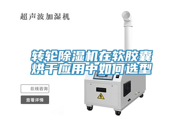 转轮小黄片直播视频在软胶囊烘干应用中如何选型