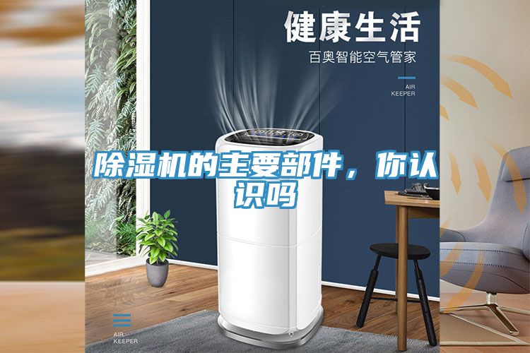 小黄片直播视频的主要部件，你认识吗