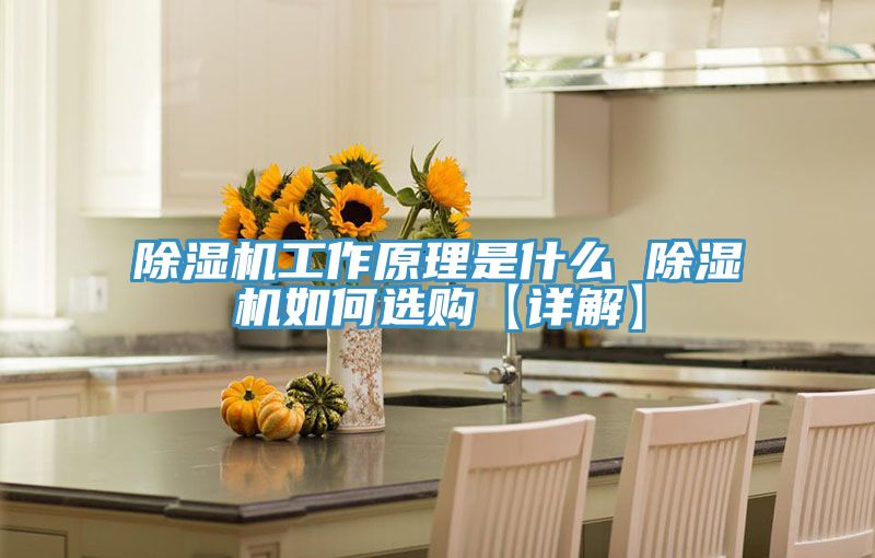 小黄片直播视频工作原理是什么 小黄片直播视频如何选购【详解】
