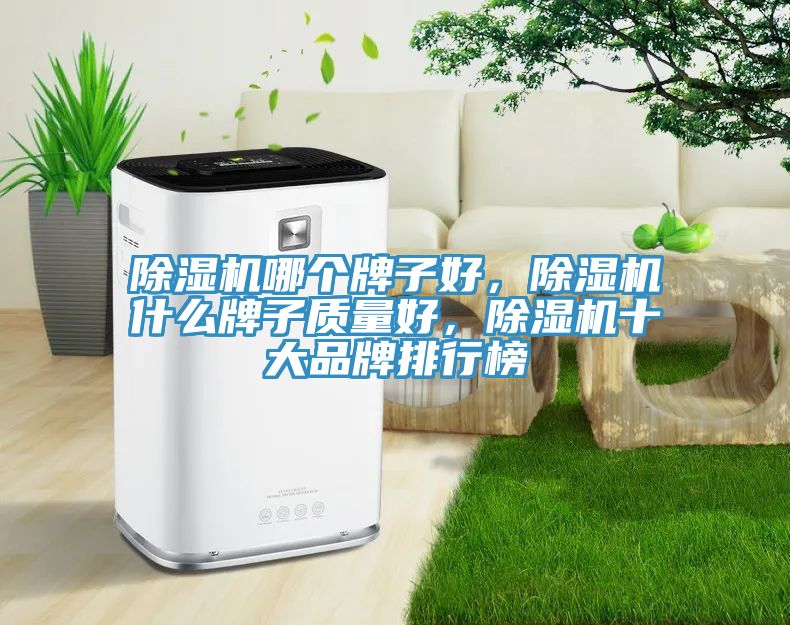 小黄片直播视频哪个牌子好，小黄片直播视频什么牌子质量好，小黄片直播视频十大品牌排行榜