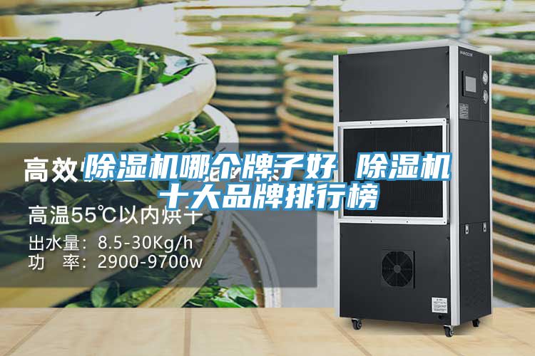 小黄片直播视频哪个牌子好 小黄片直播视频十大品牌排行榜