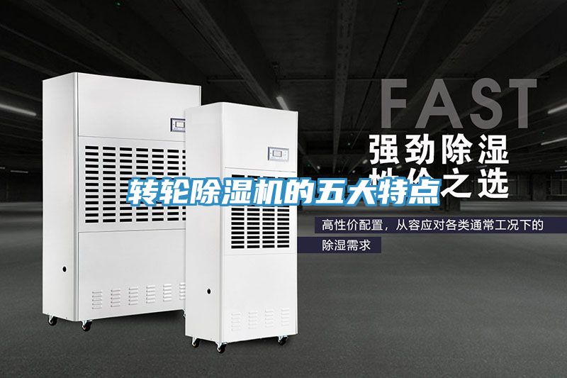 转轮小黄片直播视频的五大特点