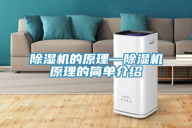 小黄片直播视频的原理—小黄片直播视频原理的简单介绍