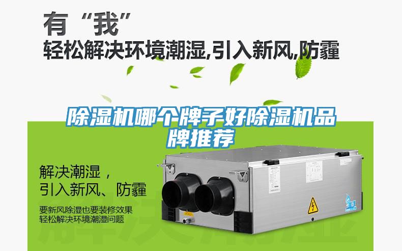 小黄片直播视频哪个牌子好小黄片直播视频品牌推荐