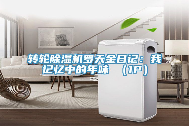 转轮小黄片直播视频罗天金日记：我记忆中的年味 （1P）