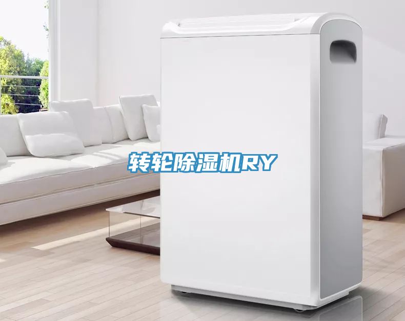 转轮小黄片直播视频RY