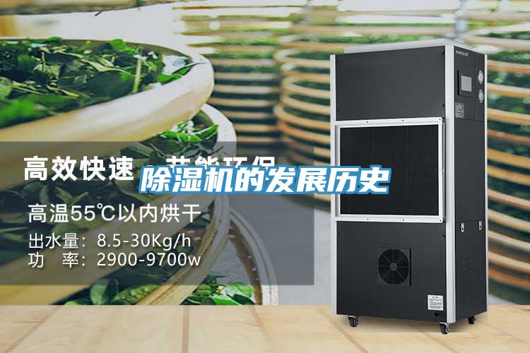 小黄片直播视频的发展历史