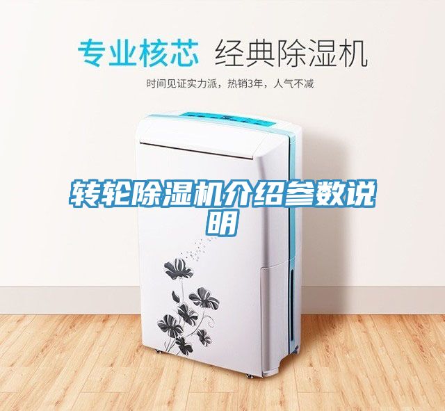 转轮小黄片直播视频介绍参数说明