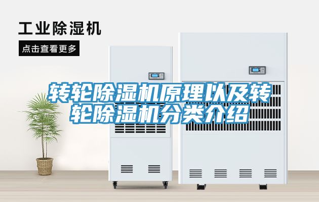 转轮小黄片直播视频原理以及转轮小黄片直播视频分类介绍